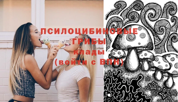 спайс Нягань