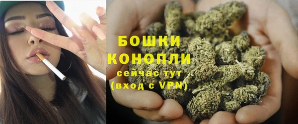 ГАЛЛЮЦИНОГЕННЫЕ ГРИБЫ Новокубанск
