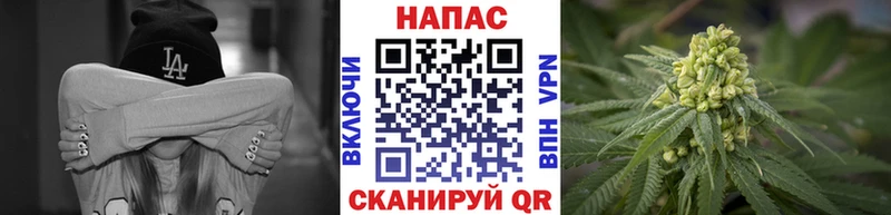 МАРИХУАНА конопля  Кисловодск 